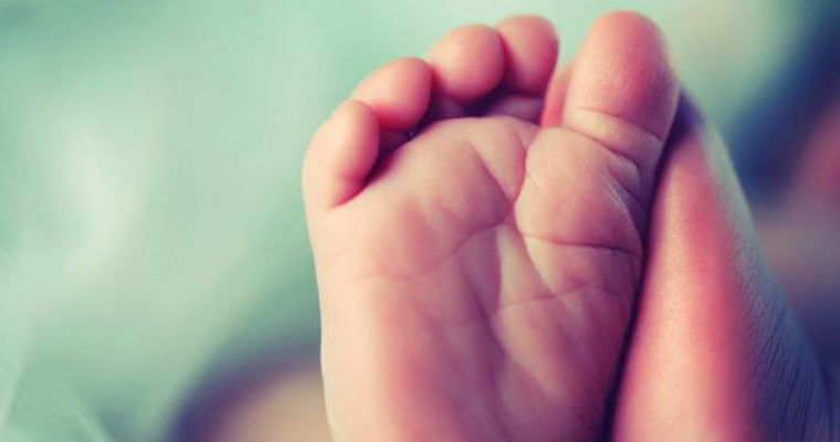Montessori e la primissima infanzia